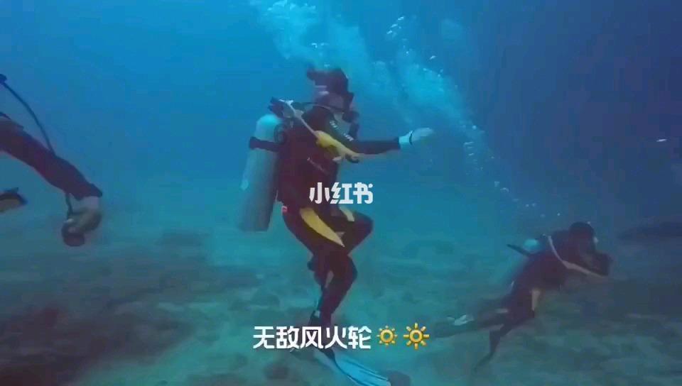 次元喵